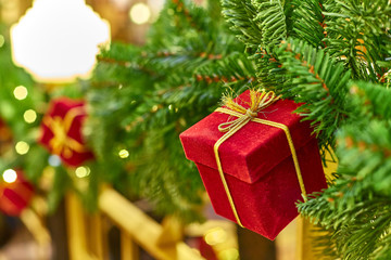 Christmas toy on the spruce in Moscow