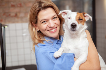 Charming mature female vet doctor smiling to the camera, holding adorable sleepy puppy. Cute funny jack russel terrier dog waking up after anesthesia in the arms of a vet
