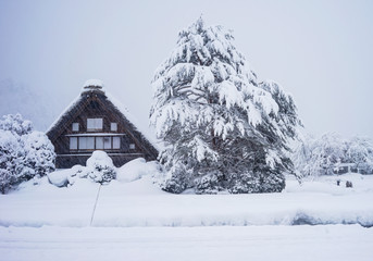 Beautiful landscape view of Shirakawago Village