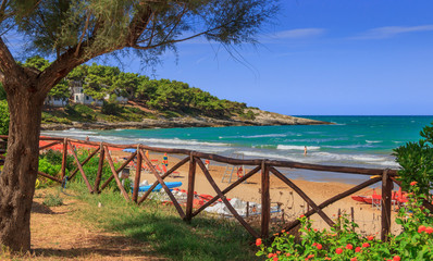 The most beautiful beaches of Apulia. Crovatico beach, dotted by the dunes which slope to the shoreline, is surrounded by the Mediterranean scrub which reflects in the green water of the sea, (Italy).