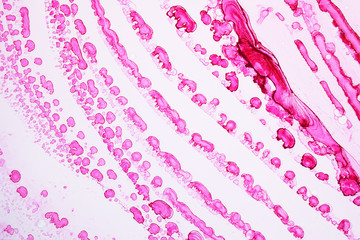 Alcohol ink abstract texture