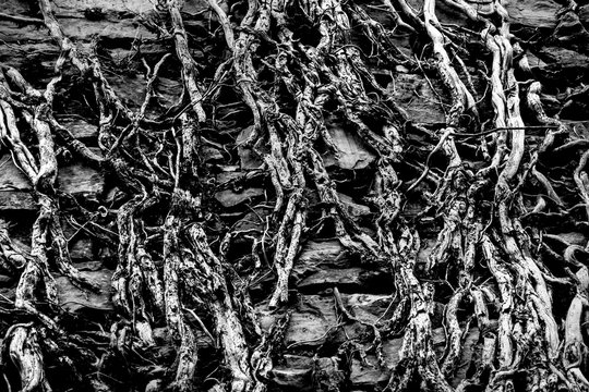 Texture patterns