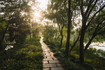 Walking in the West Lake Park in Hangzhou city, China