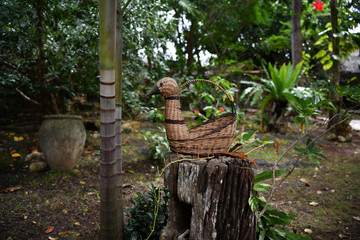 wicker basket in the tropical garden