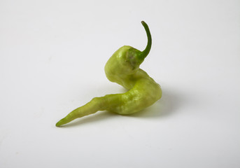 Ugly green pepper on a white background. Modified pepper. Horizontal. Copy spaes. flat lay