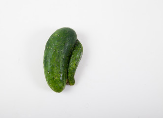 Ugly cucumber on a white background. Horizontally. Ugly vegetables. Deformed vegetables. Copy spaes