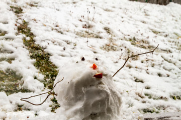 White winter landscape with snowfall