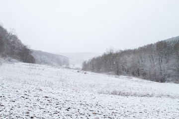 White winter landscape with snowfall