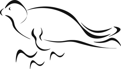 Obraz premium Fur seal vector animal hand drawn character. Isolated on white background . Concept for logo, cards, web design , label 