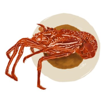 isolated red lobster with brown sauce on white dish illustration, seafood menu digital painted graphic