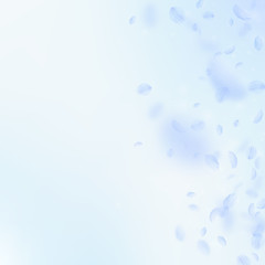 Fototapeta na wymiar Light blue flower petals falling down. Immaculate 