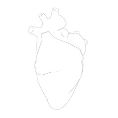 Silhouette of Human Heart in Simple Lines. 3D Render Isolated on White Background.