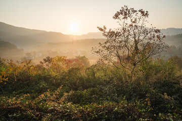 Picturesque autumn morning in the countryside in Huanghan region, close to Hongcun and Tachuan villages in China, Yi County