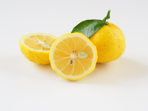 柚子 Images Browse 3 581 Stock Photos Vectors And Video Adobe Stock