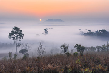 Landscape fog in morning sunrise at Thung Salang Luang National Park Phetchabun