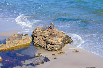 large stones on the sea sandy shore