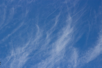 deep blue summer sky covered with cirrus white clouds