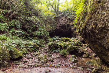 A forest  grown among stones at a tourist attraction Prometheus Cave (also Kumistavi Cave) near Tskaltubo in the Imereti region, Georgia