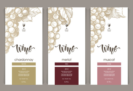 Vector set of templates packaging wine