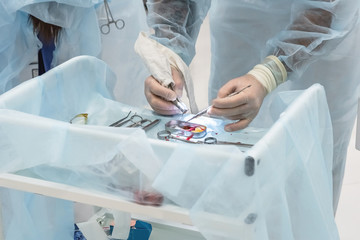 Close-up of the hands of a dentist surgeon who cuts off the barrier membrane during dental implantation