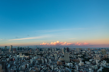 Obraz premium 東京の夕暮れ