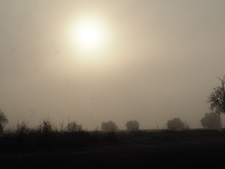 El sol echa un pulso a la niebla,Ivars-vilasana, Lérida, Cataluña, España, Europa