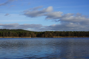 Stimmungsvolle, sonnige Flusslandschaft mit Schilf und Wald
