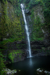 Fototapeta premium Takamaka - Ile de La Réunion