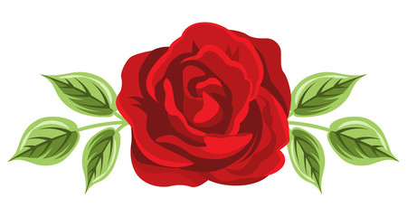 Red Rose and leaves - obrazy, fototapety, plakaty