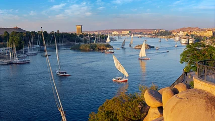 Foto op Plexiglas Beautiful panorama landscape with felucca boats on Nile river in Aswan at sunset, Egypt © Kokhanchikov