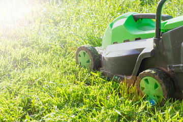 Summer and spring season sunny lawn mowing in the garden.