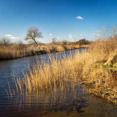 Canal on lake neusiedl near oggau in burgenland