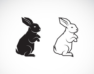 Vector of rabbit design on white background. Wild Animals. Easy editable layered vector illustration.