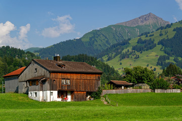 Fototapeta na wymiar Paysage des Alpes suisses en été