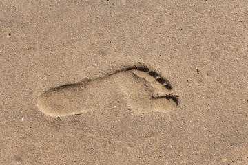 Fototapeta na wymiar Beautiful yellow sandy beach with one footprint is by turquoise sea