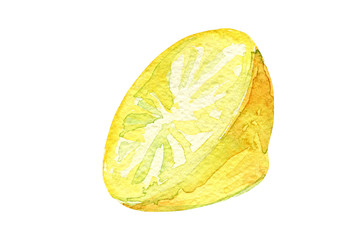 Watercolor lemon, half a slice of yellow citrus
