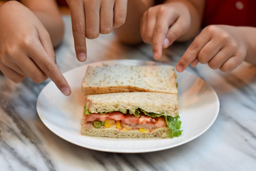 Whole wheat bread sandwich in white plate with Children hand.