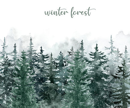 Watercolor winter banner with hand painted pine and spruce trees and on white background with space for text. Snowy forest landscape with mist in neutral grey colors. Christmas card.