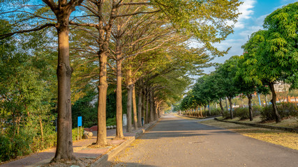 Huizhou City Park, China