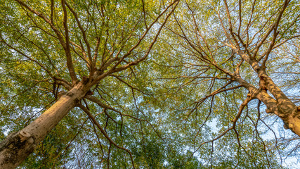 Huizhou City Park, China