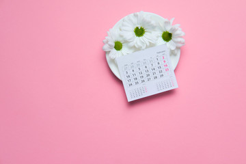 chamomile flowers with calendar on pink background valentine concept