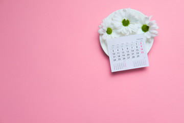chamomile flowers with calendar on pink background valentine concept