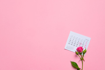 single rose flower lying on calendar page showing february 2020, valentin, valentine card concept, calendar, pink background, flatlay, copyspace, blank