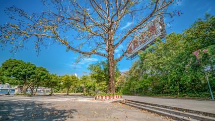 Huizhou City Park, China