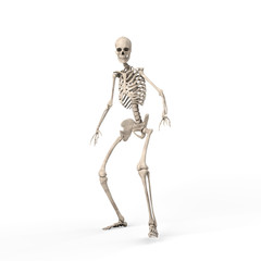 3d illustration of a frightened skeleton steps back against on white background - 314883800