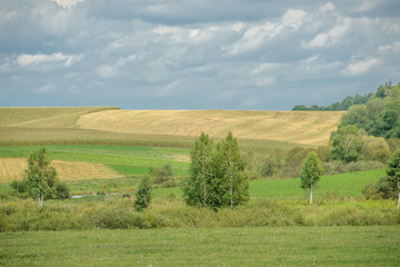 Fototapeta na wymiar Trees on a background of field and sky