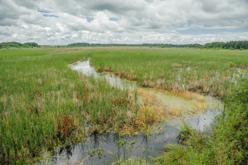 Creek on the field against the sky