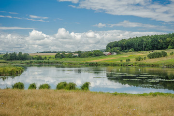 Bushes of grass on a background of a lake