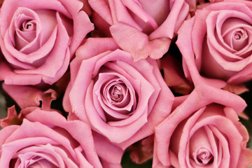 Flower arrangements. Beautiful bouquets for the holidays. Floral background, copy space. Valentines day gifts