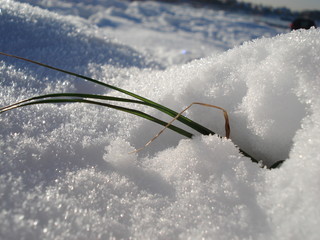Spuren im Schnee im Winterparadies nach starkem Schneefall zeigt Klimawandel und Wintersport von seiner schönsten Seite mit Schneeflocken und Eiskristallen im Winter